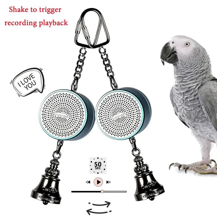 Jouets de perroquet pour fuchsia, oiseau d'entraînement, roi prudent, avantages, lecture statique in