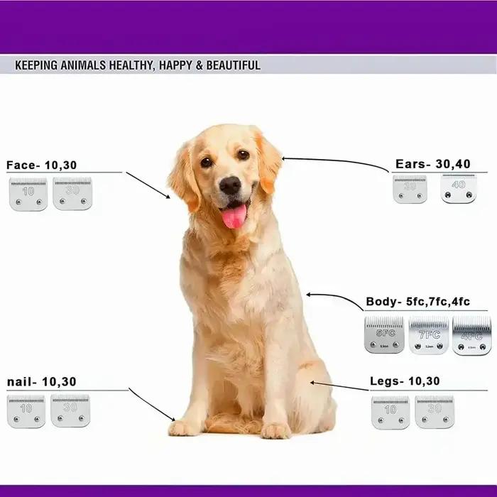 Lame de tondeuse professionnelle pour animaux de compagnie, adaptée à la plupart des tondeuses Andis