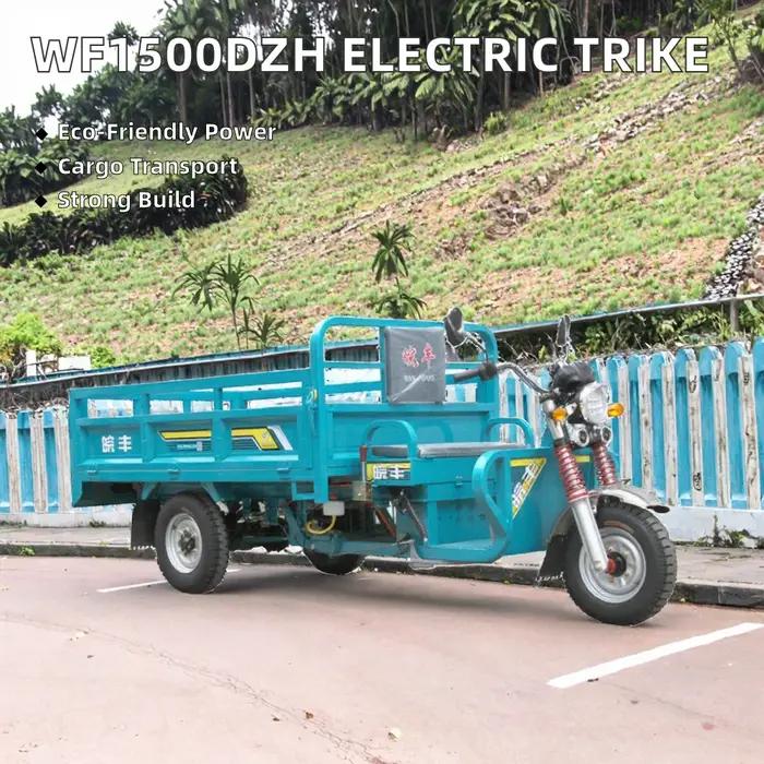 Tricycle Électrique Cargo 3000W Certifié CEE DOT Vélo de Passager Motorisé à 3 Roues Pour Adultes Corps Ouvert Occasions Spéciales