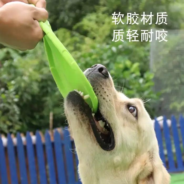 Jouets de disque volant pour chiens, vissés, traités, degré de morsure, multifonctions, jouets d'ent