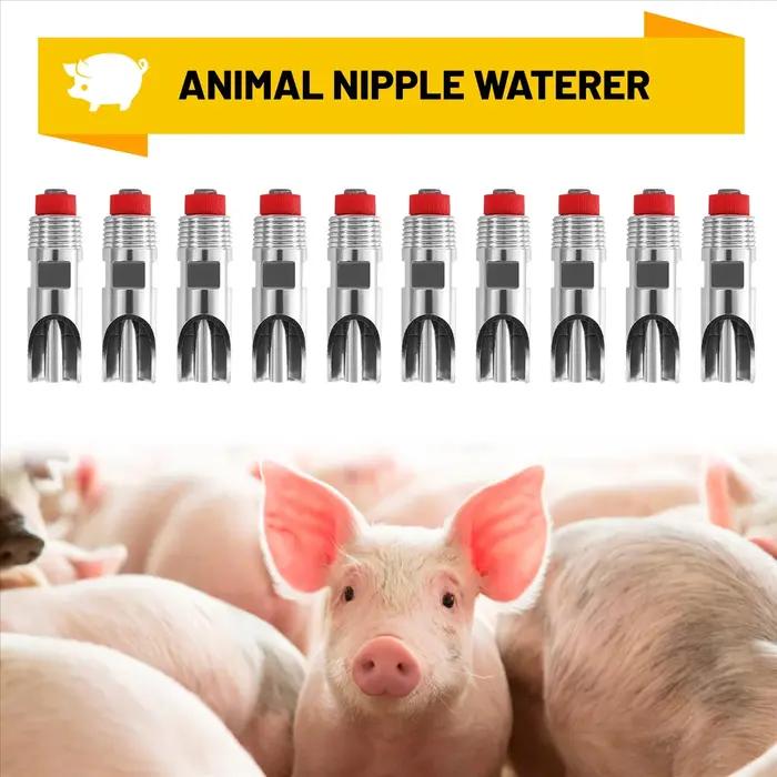 Distributeur d'Eau existent en Acier Inoxydable, Buse pour Boire, Porc 10