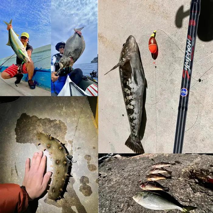 BIUTIFU-Leurre de pêche en carbone ultraléger, lancer d'appâts rapide, pêche au lancer, pêche au lan