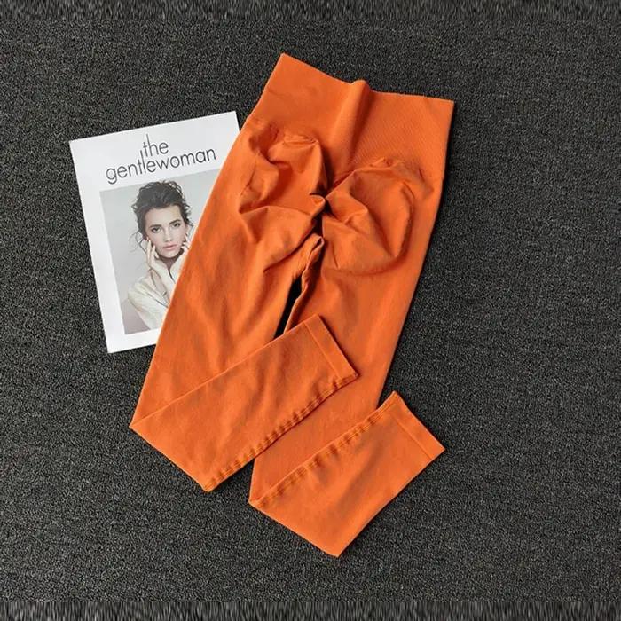 Pantalon de Yoga taille haute sans couture, Leggings de Sport transparent, pour course à pied, sécha
