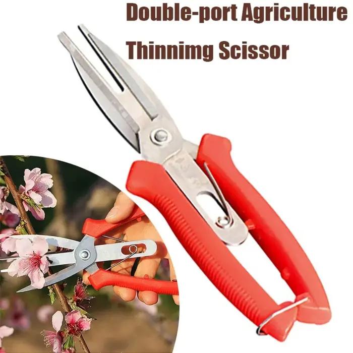 Ciseaux amincissants agricoles à Double port, ciseaux amincissants pour bonsaï, fruits et fleurs, ou