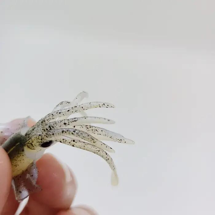 DUODUOYU 1 pièces Mini leurre de pêche au calmar souple 6 cm 2g gabarits de calmar UV lumineux pour