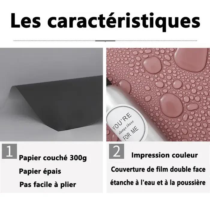 Fond d'écran pour photographie