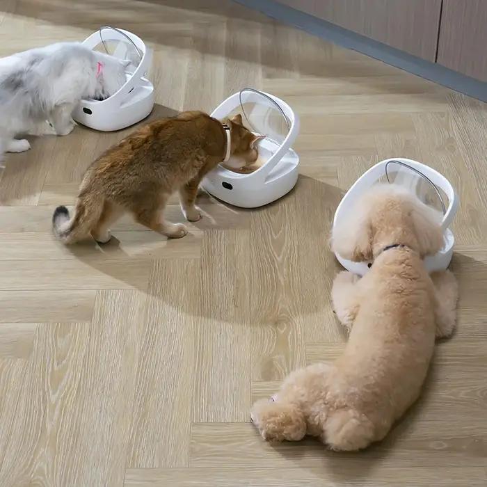 Nouveau mangeoire Petoneer NutriCare sur mesure pour les ménages multi-animaux mangeoire pour animau