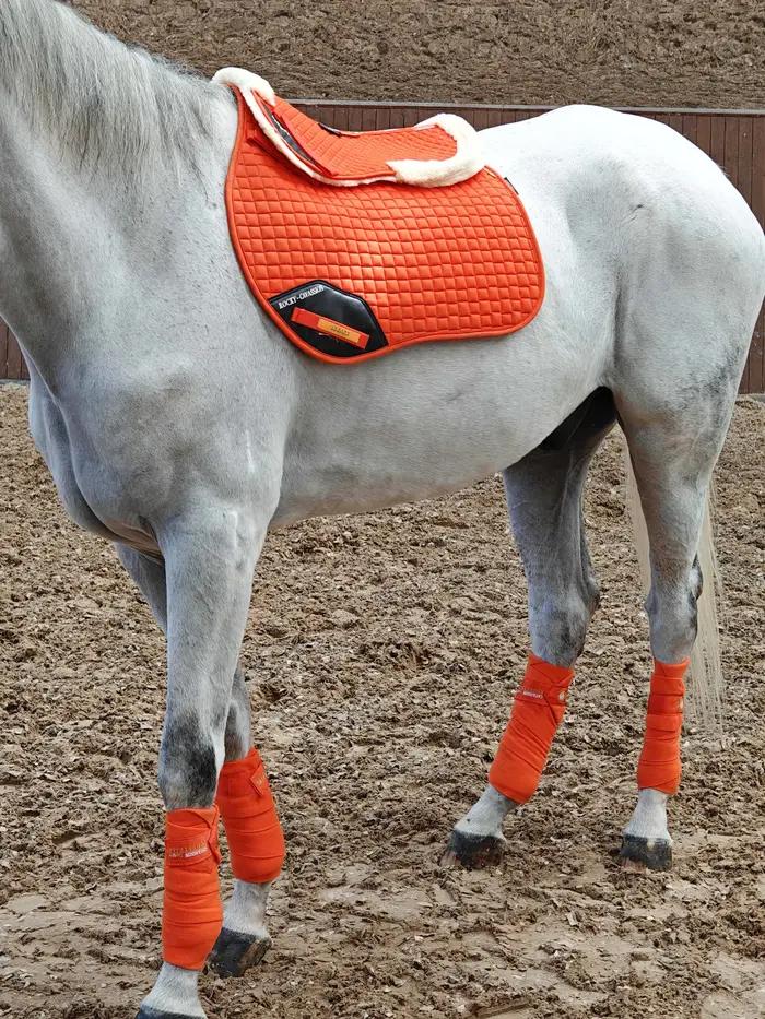 Demi-coussin doublé de correcteur de couleur noire, équitation sur le dos du cheval, équipement éque