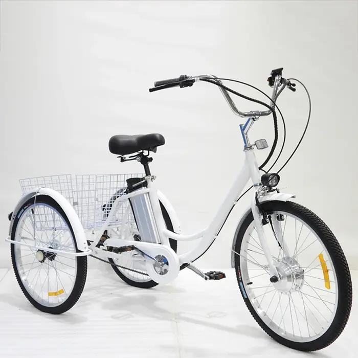 Vélo Cargo électrique pour adultes personnes âgées 350W 36V 12AH batterie au Lithium amovible vélo é