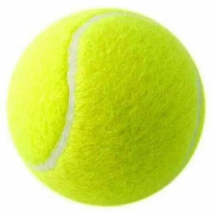 Balles de Tennis à rebond élevé, entraînement pour chiens, morsure, 6.4CM, caoutchouc élastique, bal
