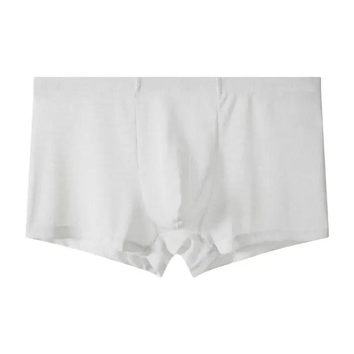 Sous-vêtements de mode pour hommes, caleçons boxer, maille transparente, shorts en maille fine, boxe