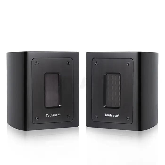 Ruban indépendant pour fièvre, 5Ohm, Super Tweeter externe, haut-parleur passif, boîte de son, Exten